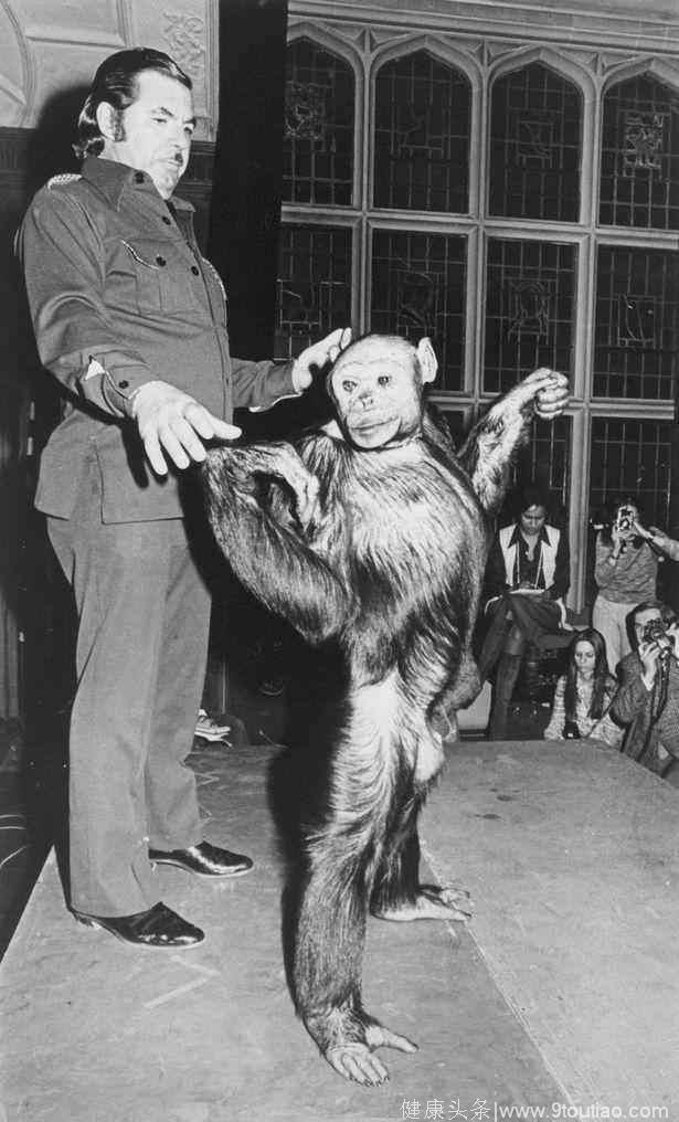 美国科学家声称：人猩混种100年前诞生，被科学家杀死