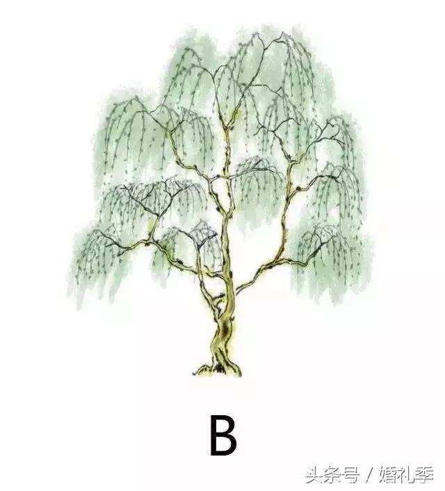 心理测试：选一颗你喜欢的树，测测从你选择的树看你的性格如何？