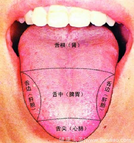 每日养生：舌苔上的秘密，你知道吗？快来看看你的身体是否健康！