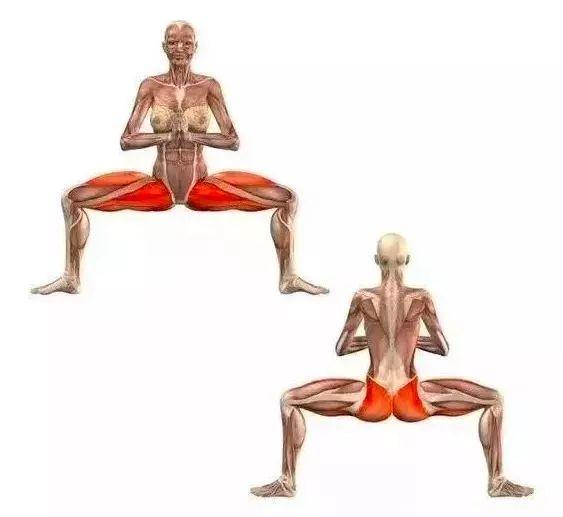 20个瑜伽拉伸体式解剖图，启动身体每块肌肉