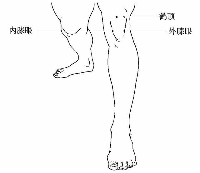 每天坚持按摩这三个穴位，膝关节再也不痛了