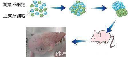 中年男人和英国王室的“脱发救星”藏在快餐店