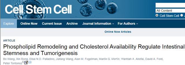 高胆固醇饮食与癌症有关，原来是“干细胞”在捣鬼！
