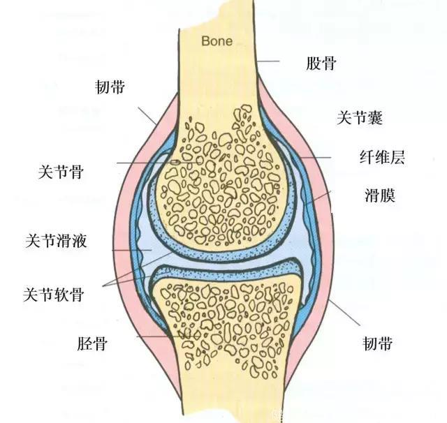 农村一颗野草，就可以使得膝关节炎慢慢就好起来了，万人已经验证