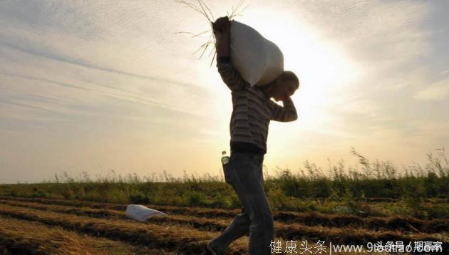 做交易不是种地和搬砖，需要的是形懒而意不懒：交易心理学之十