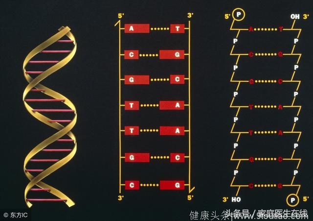 天天掉一堆头发，无非是这4个原因，却常被人们忽略