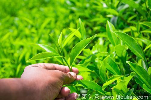 这10种食物一定要多吃，可以预防30几种癌症！