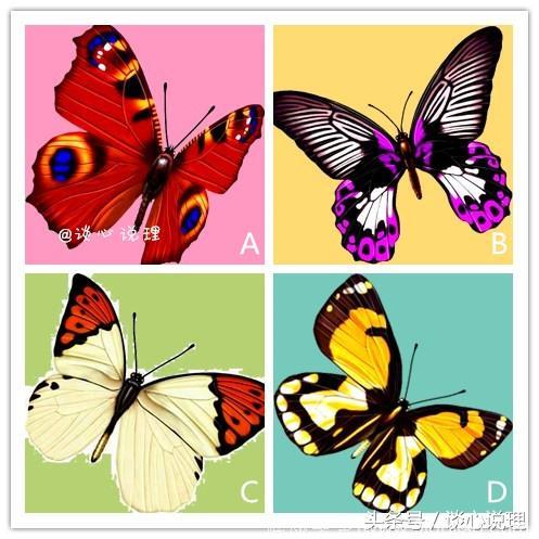 心理测试：四个蝴蝶选一个，测试谁是你身边的守护神？