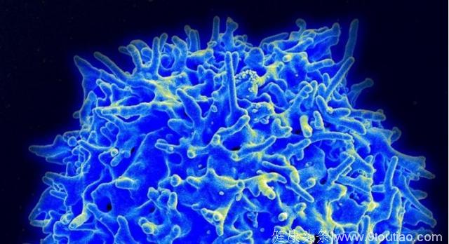 新研究认为免疫系统功能下降与癌症率上升相关