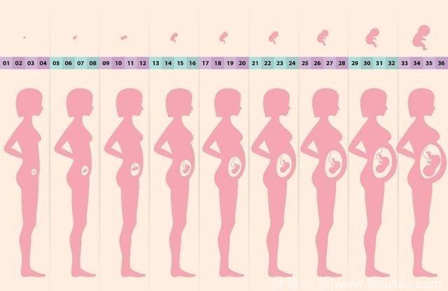 怀孕对一个女人的影响有多大？看看这些部位的变化，比整容还生猛