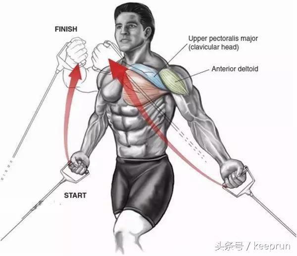 常规胸肌训练图解，让你练出好看胸肌