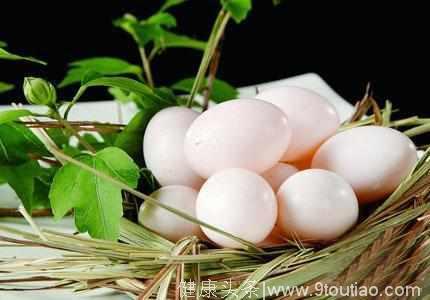 鸽子蛋的功效与食疗应用