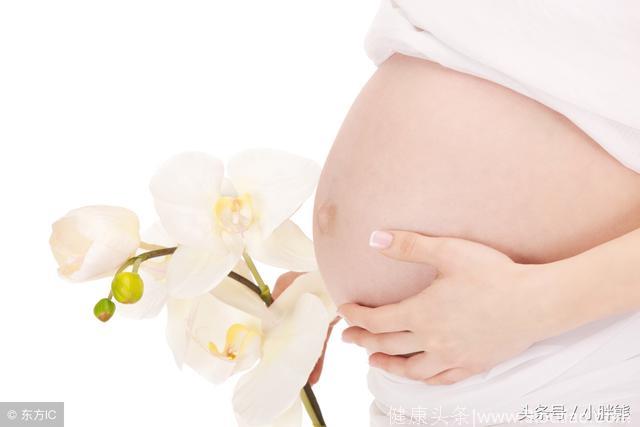 怀孕多久会有胎动？怀孕多久有胎心？
