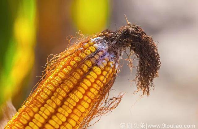 大量研究证实：癌症，更容易盯上长期吃这 7 类食物的人