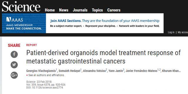 新的“癌症替身”！Science：肿瘤类器官可预测患者对药物的反应