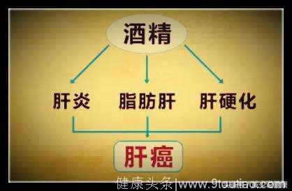 一罐啤酒下肚，你知道肝脏多长时间才能代谢吗？小心肝癌！