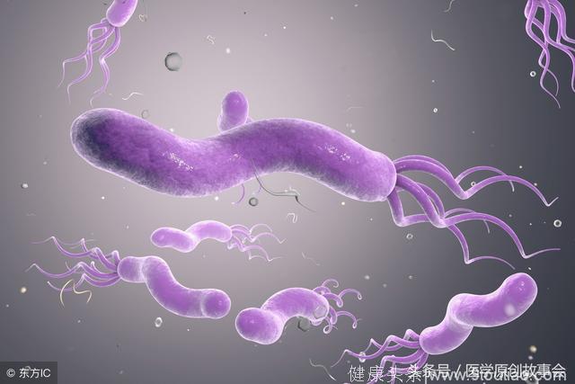 五种抗生素能杀灭胃内幽门螺杆菌，医生说这三类人一定要吃！