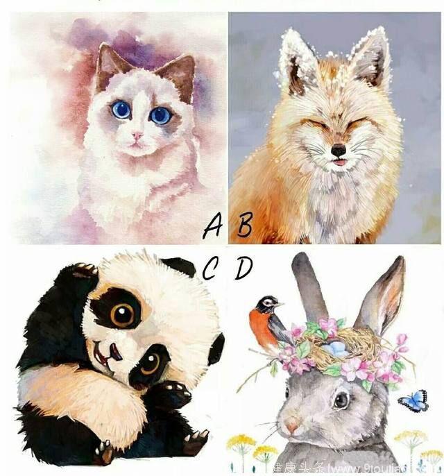 动物测试：哪个动物最可爱？测你理想中的另一半！