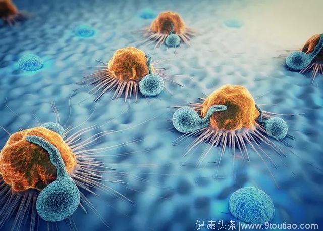 《细胞》子刊：这是真正的防癌疫苗！科学家用诱导性多能干细胞研发新型疫苗，能“团灭”轮番入侵的癌细胞｜科学大发现