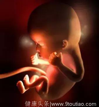 神奇的胎宝宝——各个阶段胎儿的发育图