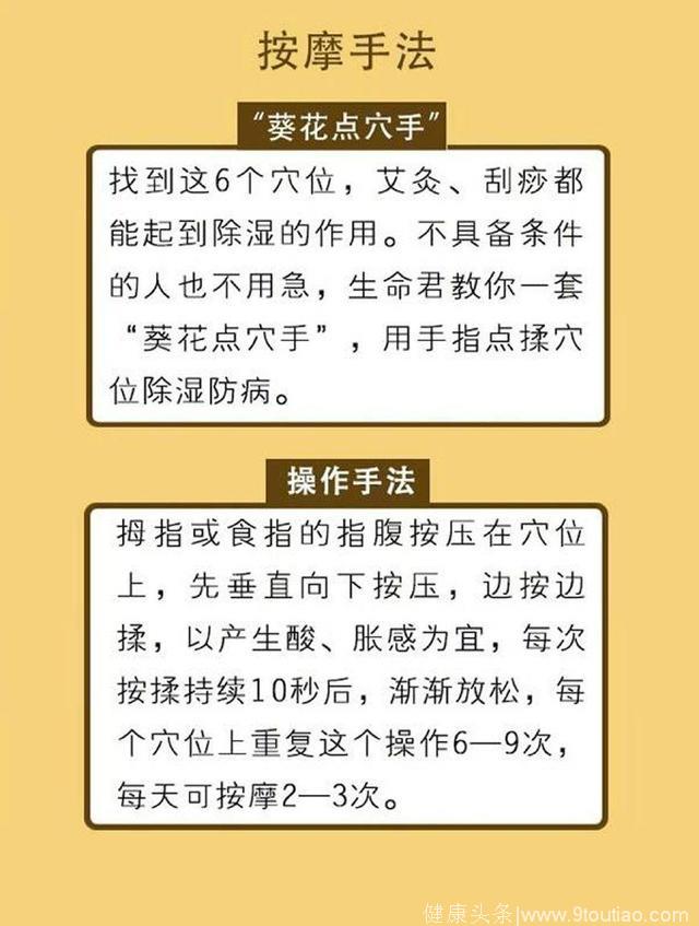 百病皆湿气而起，用身上六穴去湿养生