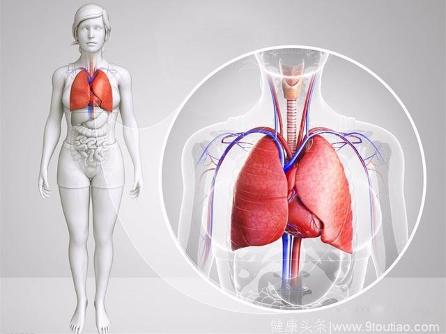 PD-L1在EGFR突变或ALK重排的肺腺癌中的表达