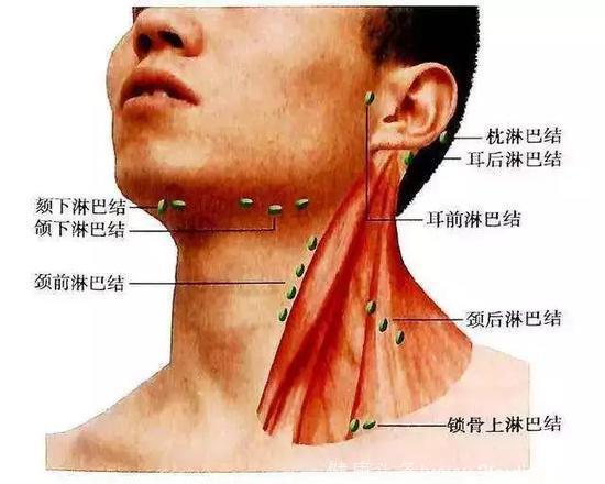 男子耳后长小疙瘩不在意 半年后检查已变癌症