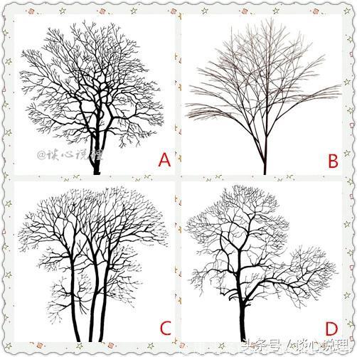 心理测试：四棵树哪个已经枯死，测试你这辈子可能背叛多少人？