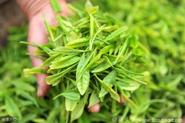 绿茶，竟可以预防7种癌症的复发与转移，你还不知道吗？