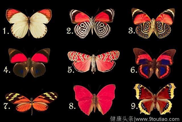 心理测试：选择一只蝴蝶，来测试你潜意识里存在什么样的想法！