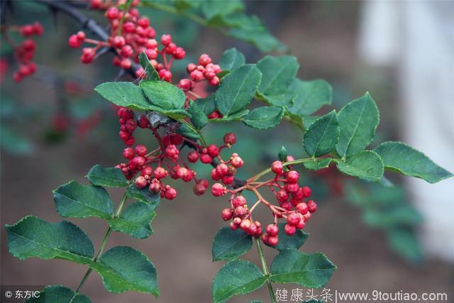 用花椒泡脚有什么作用？听说能长寿，但用法有讲究