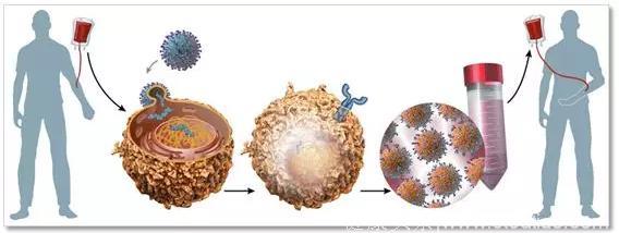 《Nature》重磅宣布：超级CAR-T细胞让肿瘤完全消失！