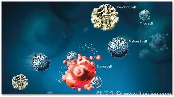 《Nature》重磅宣布：超级CAR-T细胞让肿瘤完全消失！