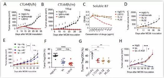 过去的理论又错了，两篇研究长文报道CTLA-4抗体在肿瘤免疫治疗中的新机制新模型