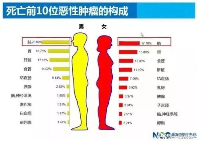 国家癌症中心 | 中国最新肿瘤现状和趋势