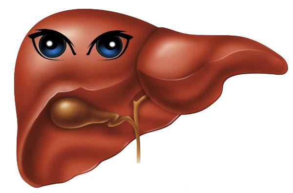 肝病和肝硬化：原因和危险因素