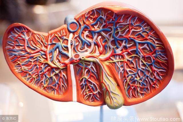 肝脏恶化，这5个征兆最明显，及时发现才能断绝肝癌后路