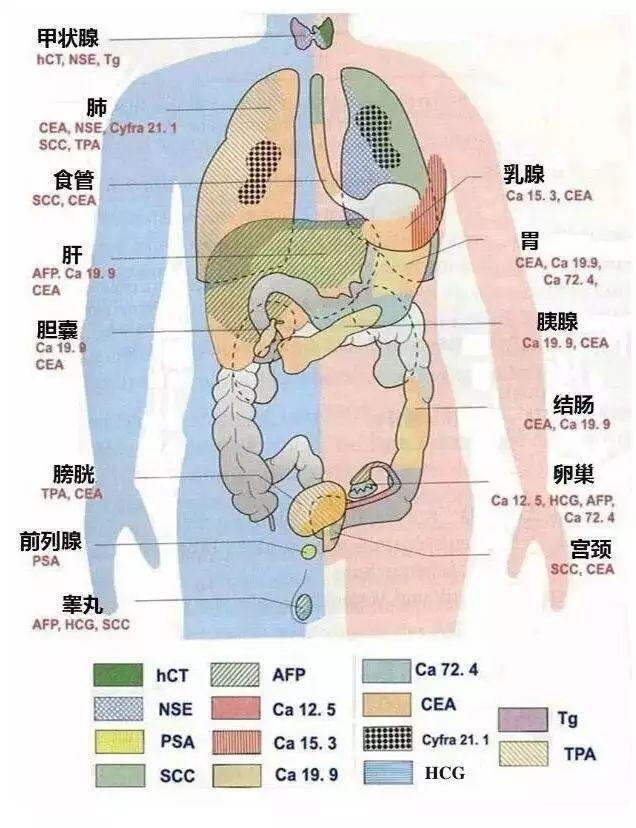 只要5毫升血，辅助诊断早期肺癌！预测肺癌风险，不妨查一查“指纹图谱”