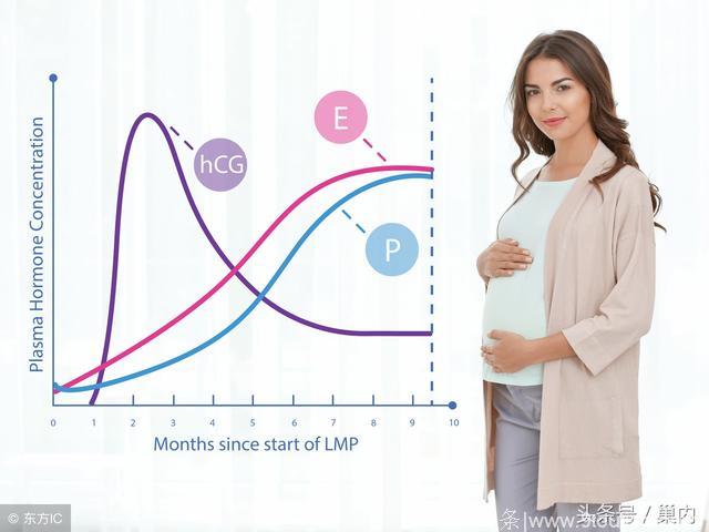 试管婴儿hCG不翻倍一定流产吗？看看正常值，闯过怀孕第1关！