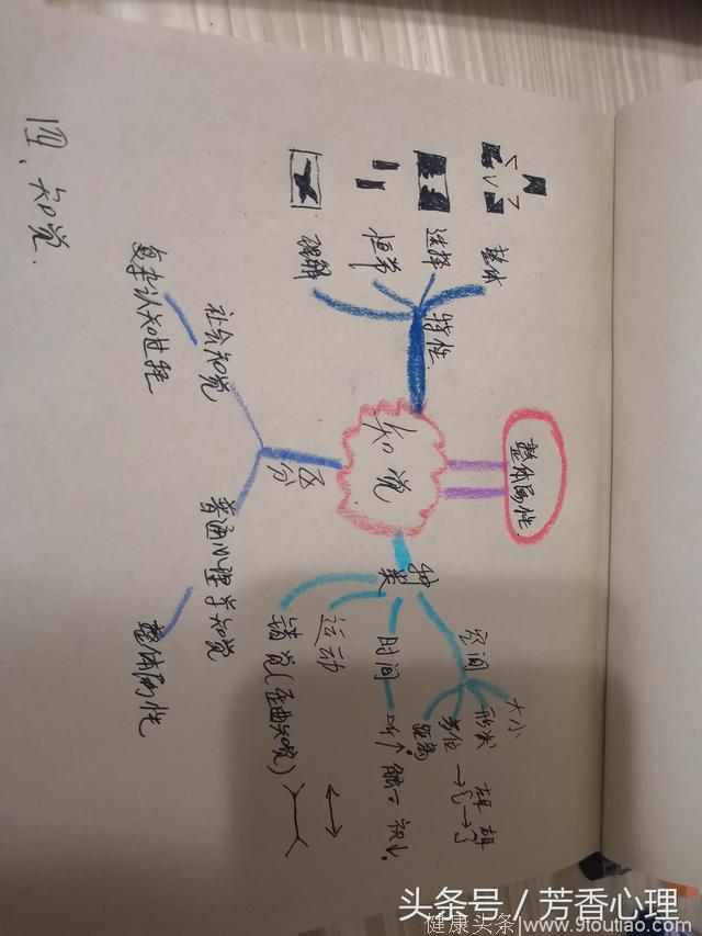 心理学的思维导图怎么画？