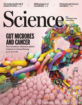 证据确凿：肠道菌群助力对抗癌症，患者可定制激活免疫的益生菌剂