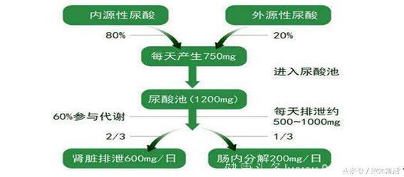 尿酸降得越低越好吗？其实平衡最重要「痛风科普100问（22）」