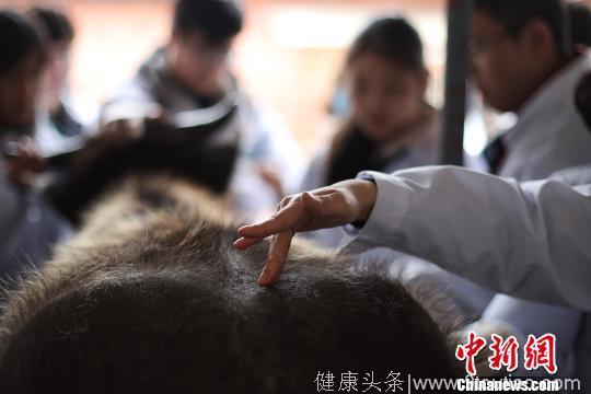 中医针灸走进南京农业大学课堂“从牛开始”