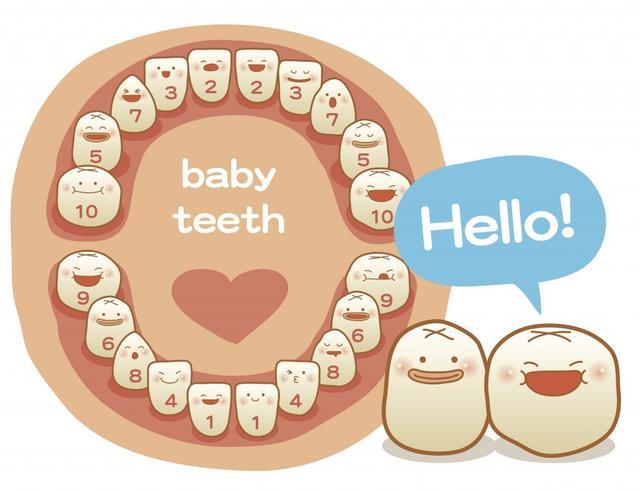 关于宝宝的小牙齿。