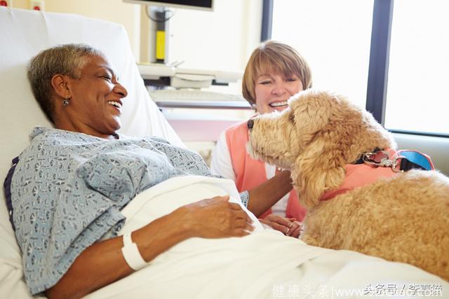 专门陪伴病人和儿童的治疗犬，汪星人带给我们的不只是暖心而已！