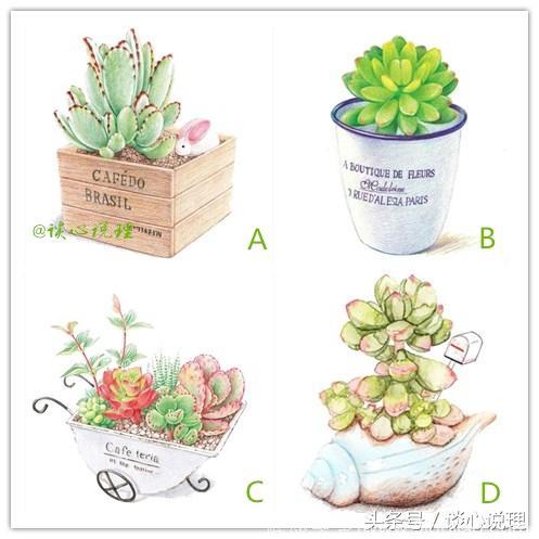 心理测试：四种植物选一个，测试你的另一半爱你有多深？