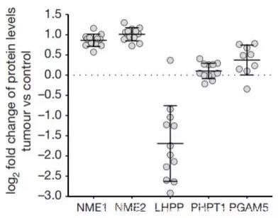 Nature：科学家找到肝癌“抑癌蛋白”，有望带来诊疗新思路