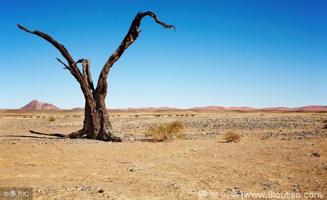 心理学：独自在沙漠里遇到一群人，你会怎么做？测试你的性格