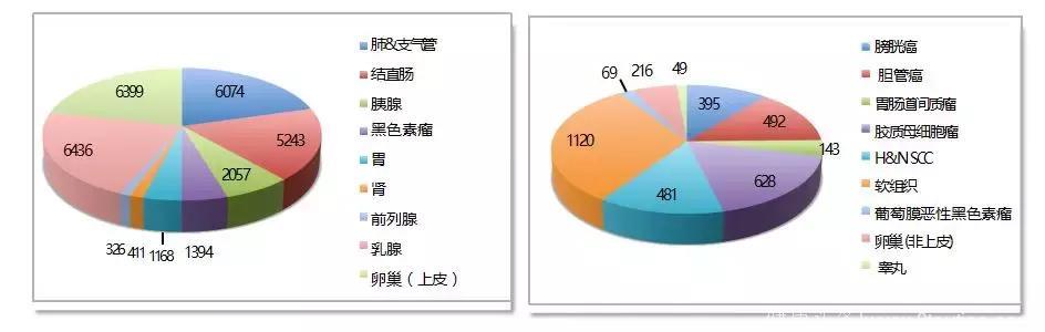 乳腺癌精准治疗就靠这个强劲武器