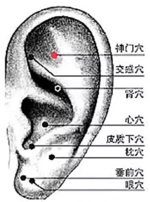 解决失眠焦虑症，还你一个健康的睡眠